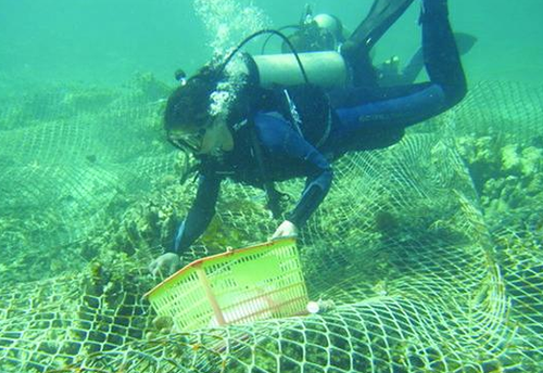 QQ截图20171127143517 QQ截图20171127143517