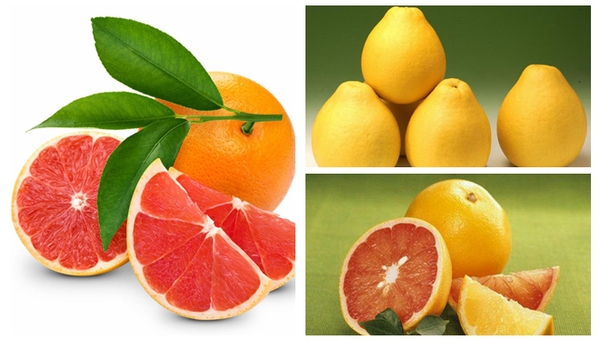 MAIN201711281014306546688485535 MAIN201711281014306546688485535