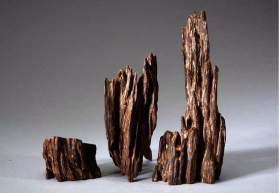 49165445_2 49165445_2