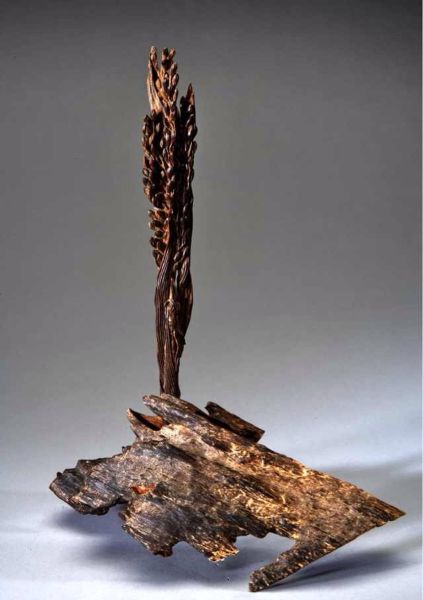 49165445_4 49165445_4