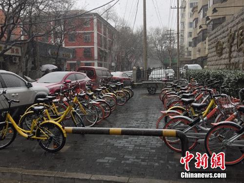 资料图：风雪中的共享单车。<a target='_blank' href='http://www.chinanews.com/' >中新网</a> 吴涛摄