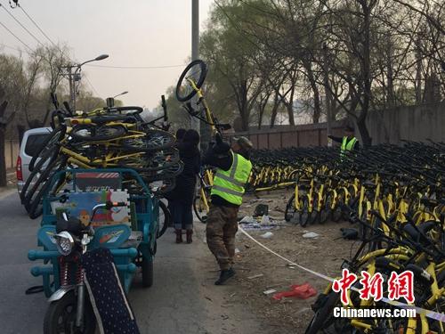 资料图：ofo工作人员在做运维工作。<a target='_blank' href='http://www.chinanews.com/' >中新网</a> 吴涛 摄