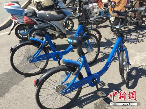 资料图：不断有新共享单车平台进入市场。<a target='_blank' href='http://www.chinanews.com/' >中新网</a> 吴涛 摄