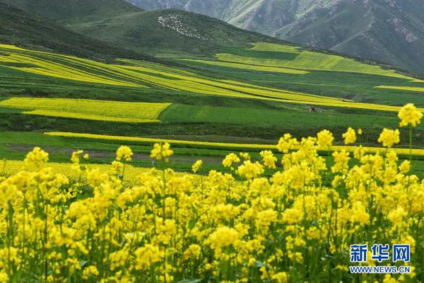 Img416805897 Img416805897