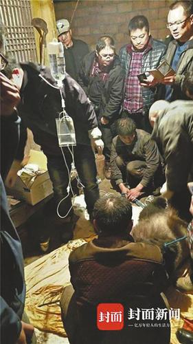 断掌老年大熊猫村支书家求救 经抢救未脱离危险