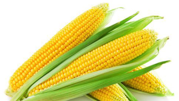 MAIN201712021038181596648689704 MAIN201712021038181596648689704