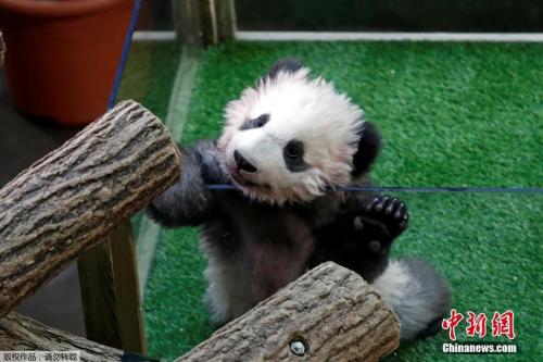 点击进入下一页