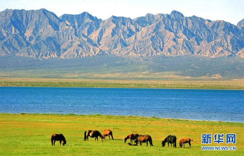 u=3705099724,1131785808&fm=27&gp=0 u=3705099724,1131785808&fm=27&gp=0