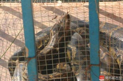 imagefile 微信图片_20171204174046.jpg