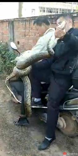 imagefile 微信图片_20171204174436.jpg