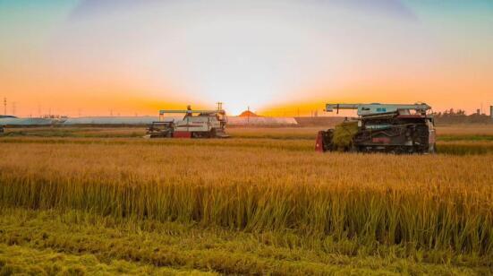 W020171120665572602099 W020171120665572602099