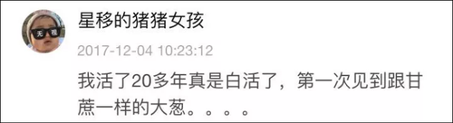 南方妹子遇北方大葱疯了:长了20多年 还没根葱高!