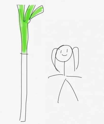 南方妹子遇北方大葱疯了:长了20多年 还没根葱高!