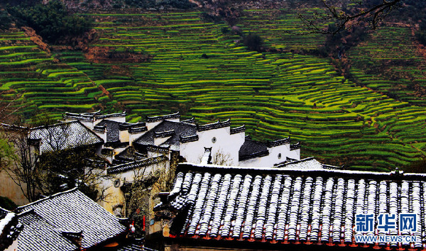 1118292138_14575952250651n 1118292138_14575952250651n