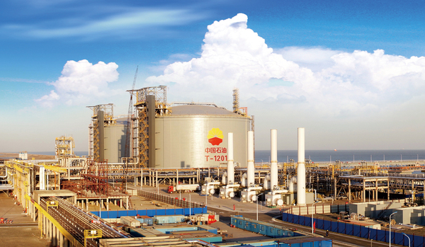 W020140108582045295126 W020140108582045295126