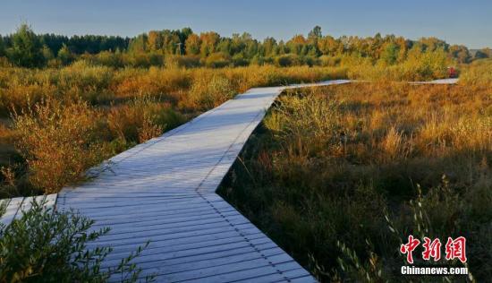 点击进入下一页