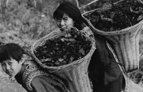 u=2193963506,993549953&fm=27&gp=0 u=2193963506,993549953&fm=27&gp=0