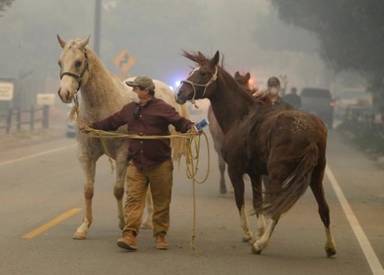 1512681869769597.jpg bknint-20171206041800045-1206_17011_001_03p.jpg