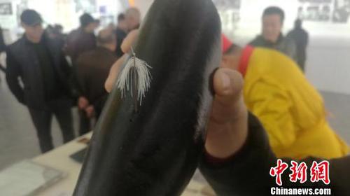 一个针眼穿进40根面条 袁伟 摄 一个针眼穿进40根面条 袁伟 摄