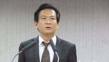 台绿营称洪秀柱"台独教母" 遭批:人不要脸天下无敌