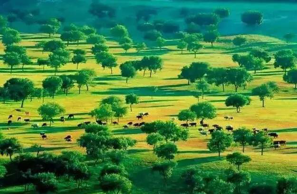 255c045be3a24af39e0582e9ce251d4b_th 255c045be3a24af39e0582e9ce251d4b_th