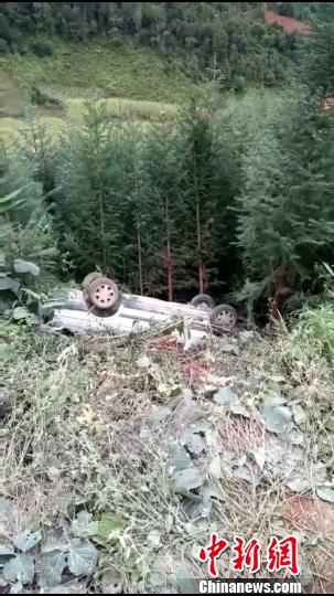 图为轿车被野象推翻至公路桥下 视频截图 点击进入下一页