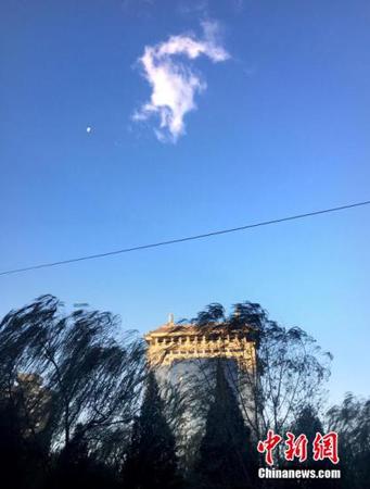 资料图 <a target='_blank' href='http://www.chinanews.com/' >中新网</a>记者 李泊静 摄 点击进入下一页