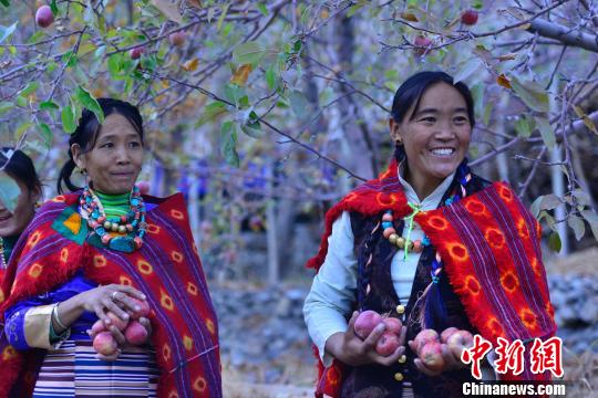 2017年以来，西藏共发放小额信贷3万余笔、15.6亿余元?！≈芪脑?摄