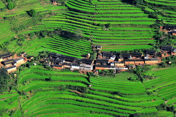 F200811101507191636729426 F200811101507191636729426