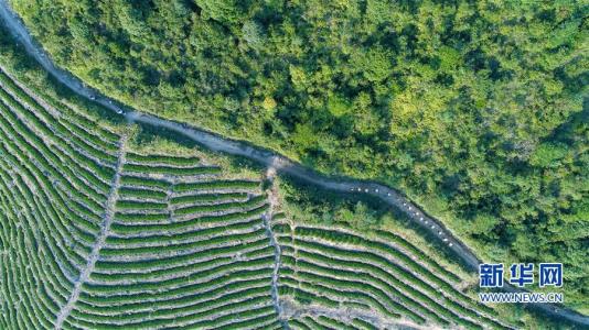 u=2586922204,3133983098&fm=27&gp=0 u=2586922204,3133983098&fm=27&gp=0