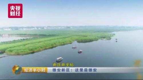 图片来源:央视财经 图片来源:央视财经