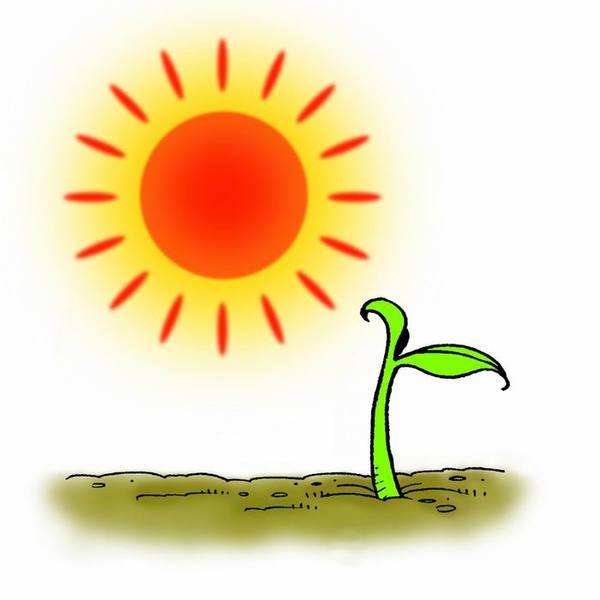 t01b8d2c1ef72136a4a t01b8d2c1ef72136a4a