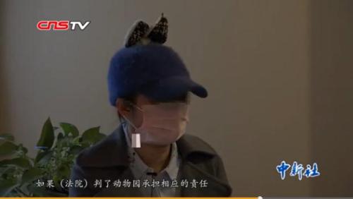 图片来源:视频截图 图片来源:视频截图