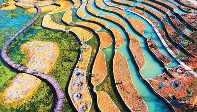 1122131699_15136418653641n 1122131699_15136418653641n