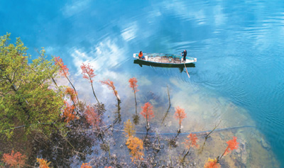 1122131699_15136418653801n 1122131699_15136418653801n