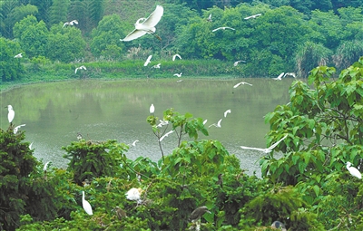 W020140515524101547053 W020140515524101547053