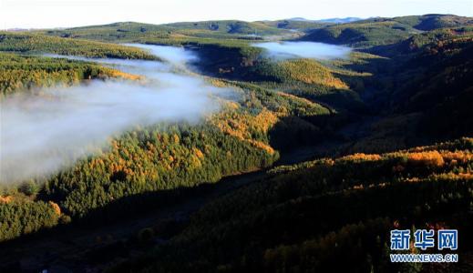 下载 (2) 下载 (2)