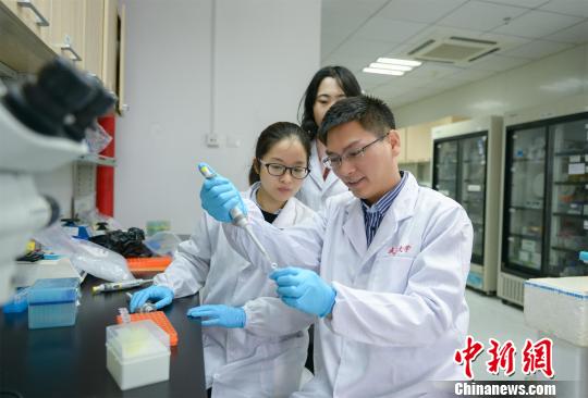 专家找到肝脏缺血再灌注领域治疗新突破口