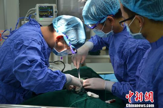 团队成员在猴子身上做实验 杜巍巍 摄 团队成员在猴子身上做实验 杜巍巍 摄