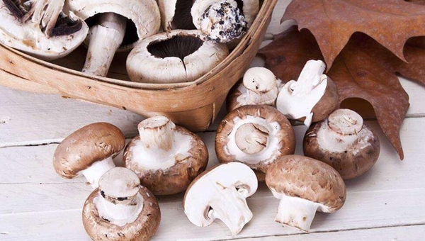 MAIN201712191046326689017479332 MAIN201712191046326689017479332