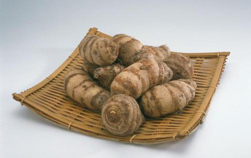 u=2996759778,1892821155&fm=27&gp=0 u=2996759778,1892821155&fm=27&gp=0