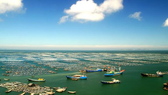 TIM截图20171221090502 TIM截图20171221090502