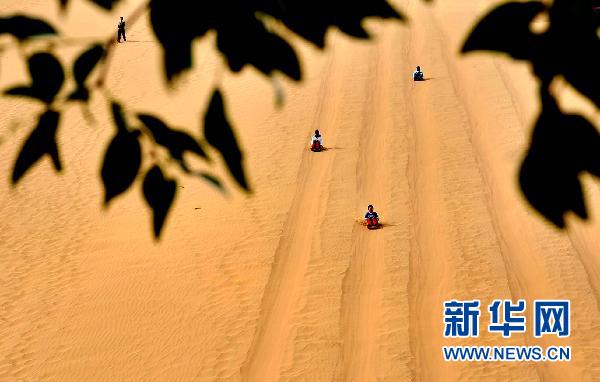 1095825302 1095825302