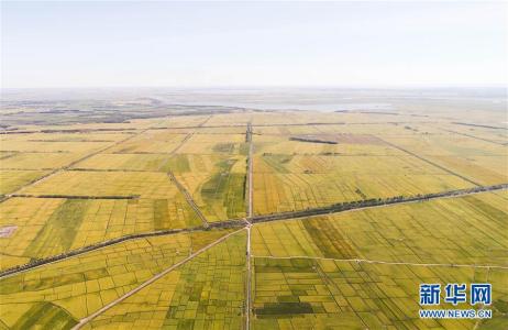 u=3445461205,3102551613&fm=27&gp=0 u=3445461205,3102551613&fm=27&gp=0