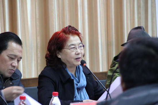 中国陶瓷协会副理事长、河南省陶瓷协会会长王爱纯致开幕词