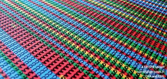 《科学》年度突破:中国小组冷冻电镜技术获进展