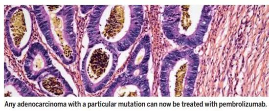 《科学》年度突破:中国小组冷冻电镜技术获进展