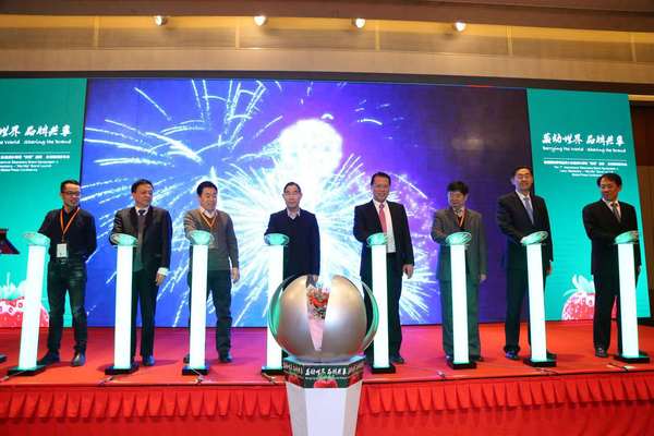 首届国际草莓品牌大会及溧水草莓“美莓”品牌启动仪式 首届国际草莓品牌大会及溧水草莓“美莓”品牌启动仪式