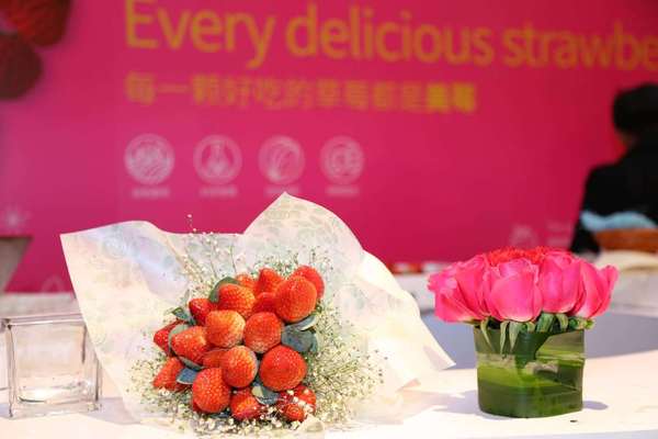 溧水草莓之美 溧水草莓之美