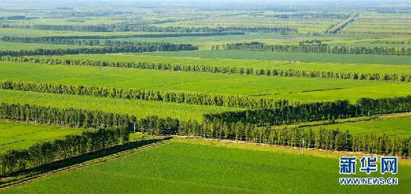 001ec94849ef137d489952 001ec94849ef137d489952